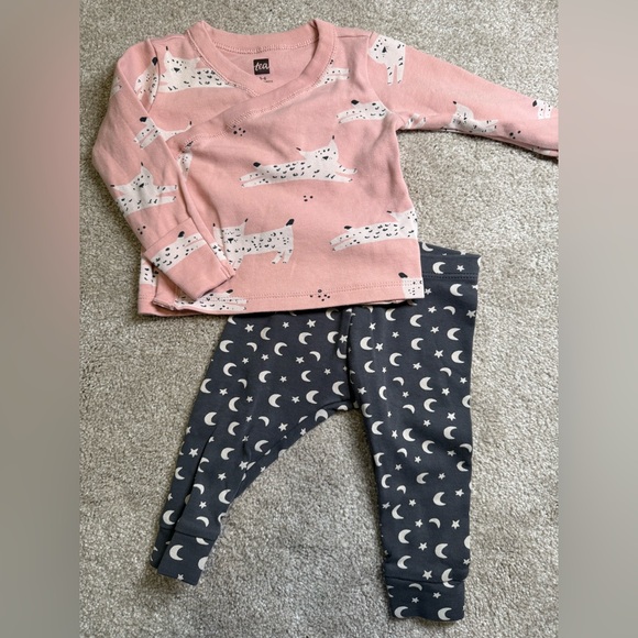 Tea Collection Other - Tea Collection 3–6M Pink Cat Top & Moon Leggings Set | EUC